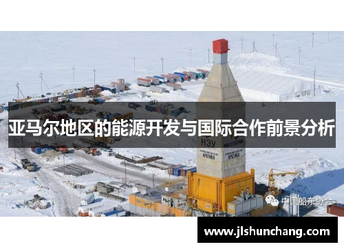 亚马尔地区的能源开发与国际合作前景分析
