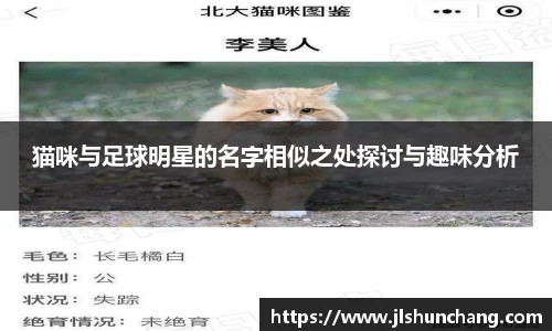 星空·综合体育中国官网